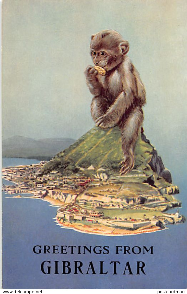 Gibraltar - Greetings From - Apes - Publ. The Rock Photographic Studio  - Gibraltar