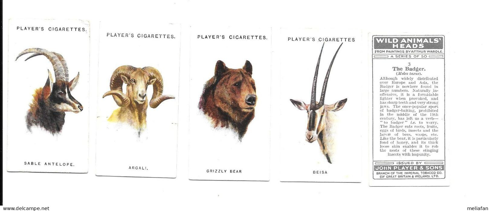 CJ21 - SERIE COMPLETE 50 CARTES CIGARETTES PLAYERS - WILD ANIMALS HEADS - TETES D'ANIMAUX SAUVAGES - Player's