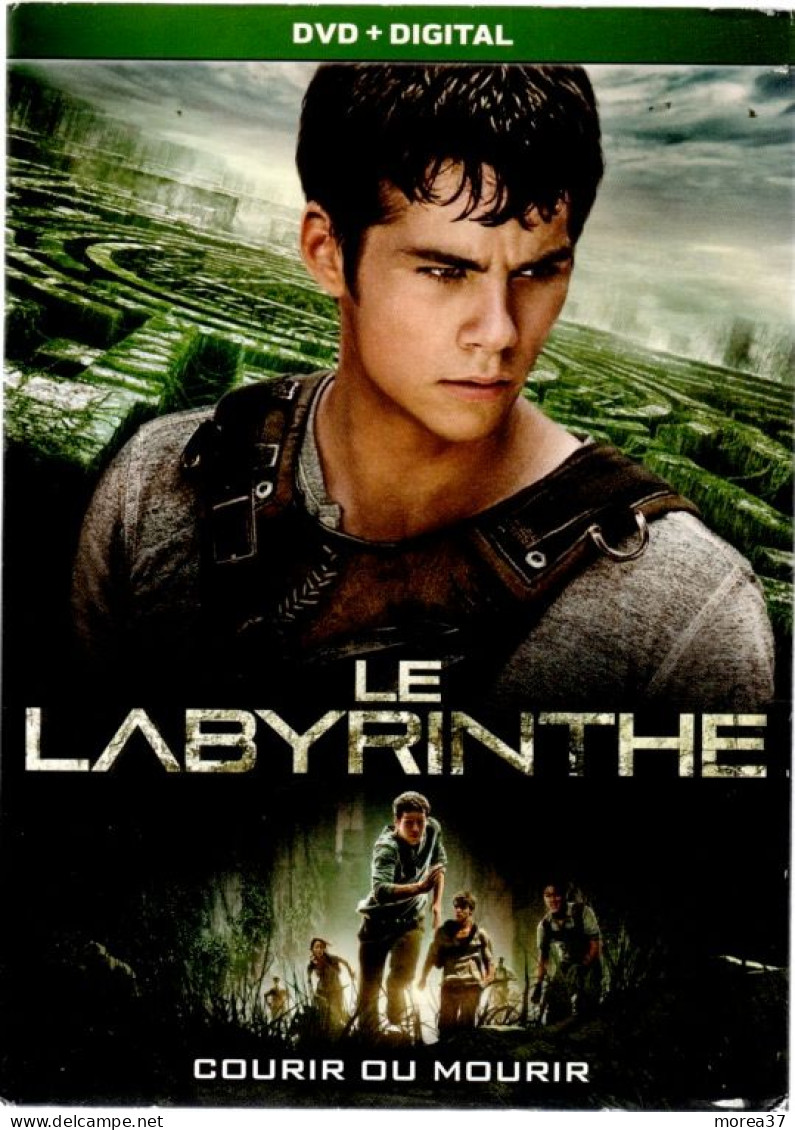 LE LABYRINTHE        (C46) - Action, Adventure