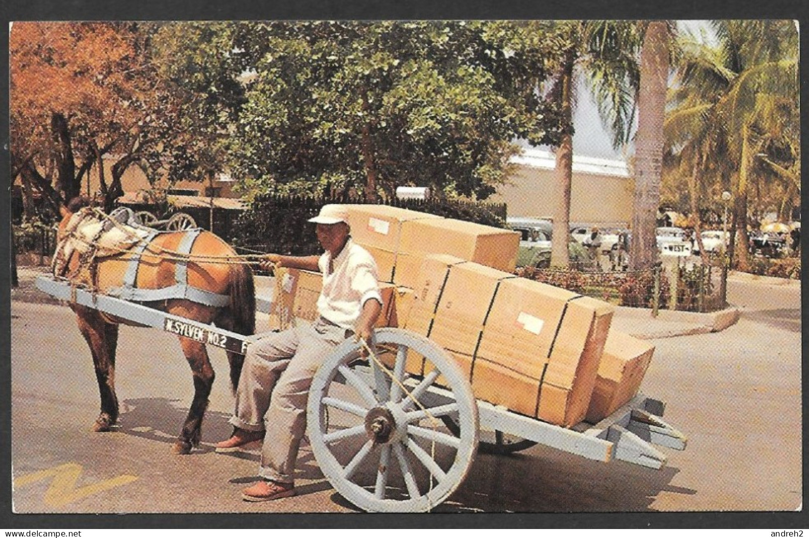 Nassau  Bahamas - Native Two Wheel Carts Are Used For Delivery Of Merchandise - No: P20591 - By American News - Bahama's