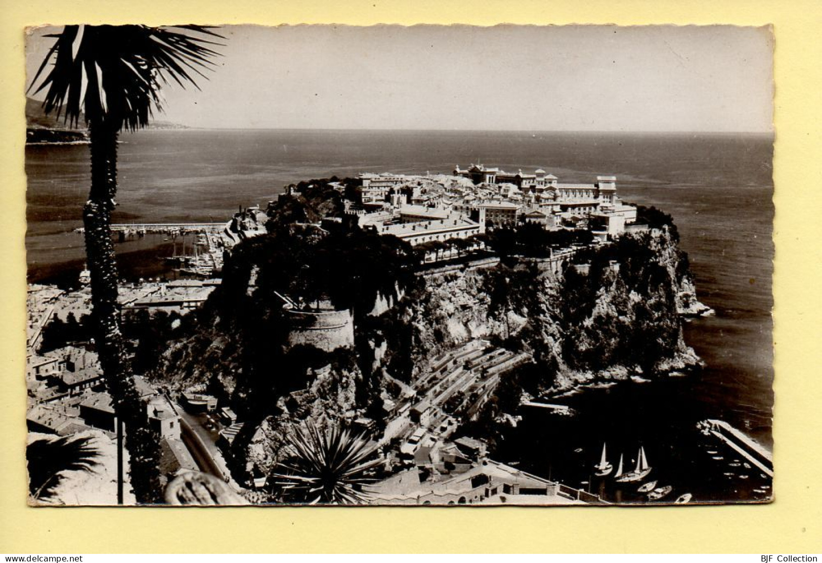 Monaco : Vue Générale Du Rocher De Monaco / CPSM (voir Scan Recto/verso) - Exotischer Garten