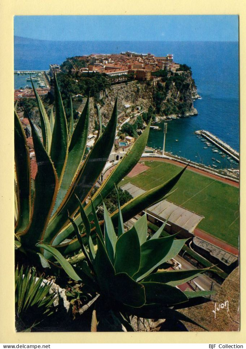 Monaco : Le Rocher De Monaco (Stade) (voir Scan Recto/verso) - Exotic Garden