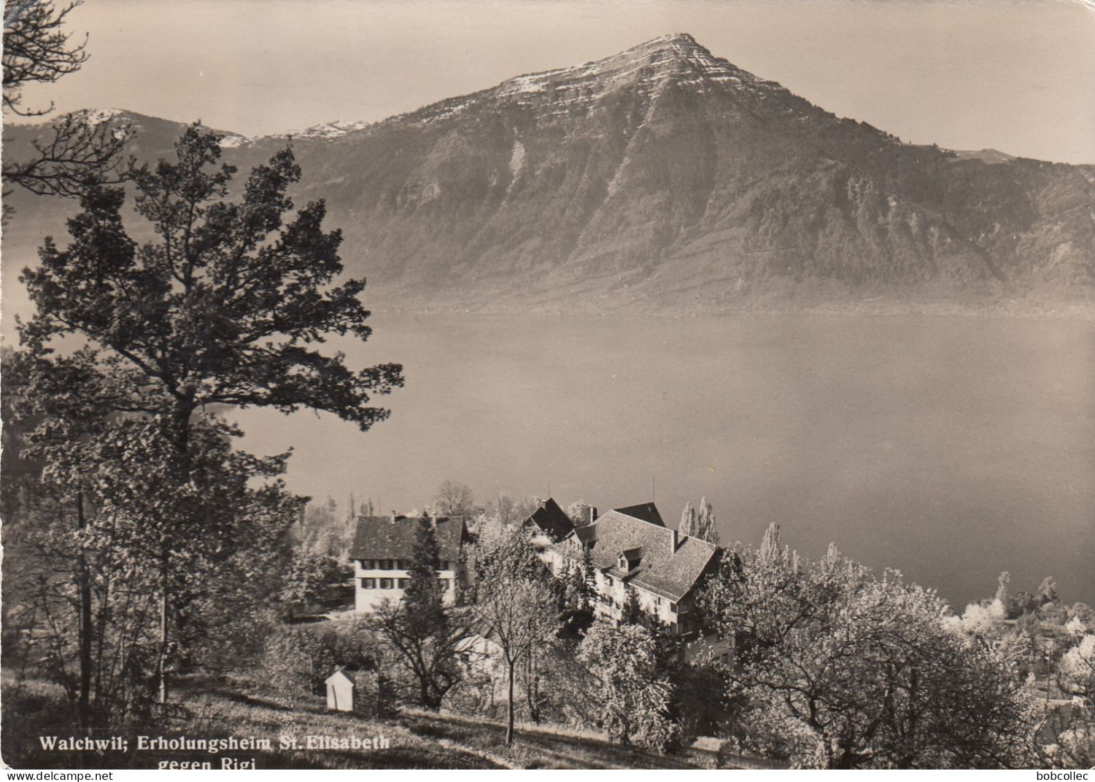 WALCHWIL (Zoug): Erholungsheim St. Elisabeth Gegen Rigi - Walchwil