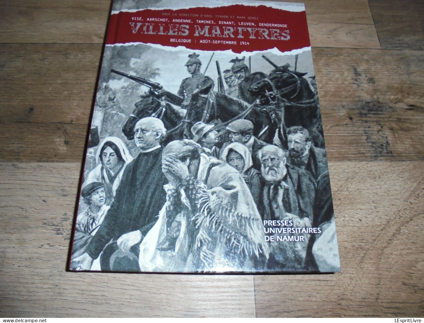 VILLES MARTYRES Belgique Août 1914 Guerre 14 18 Visé Tamines Termonde Dendermonde Dinant Andenne Seilles Aarschot Leuven - Weltkrieg 1914-18