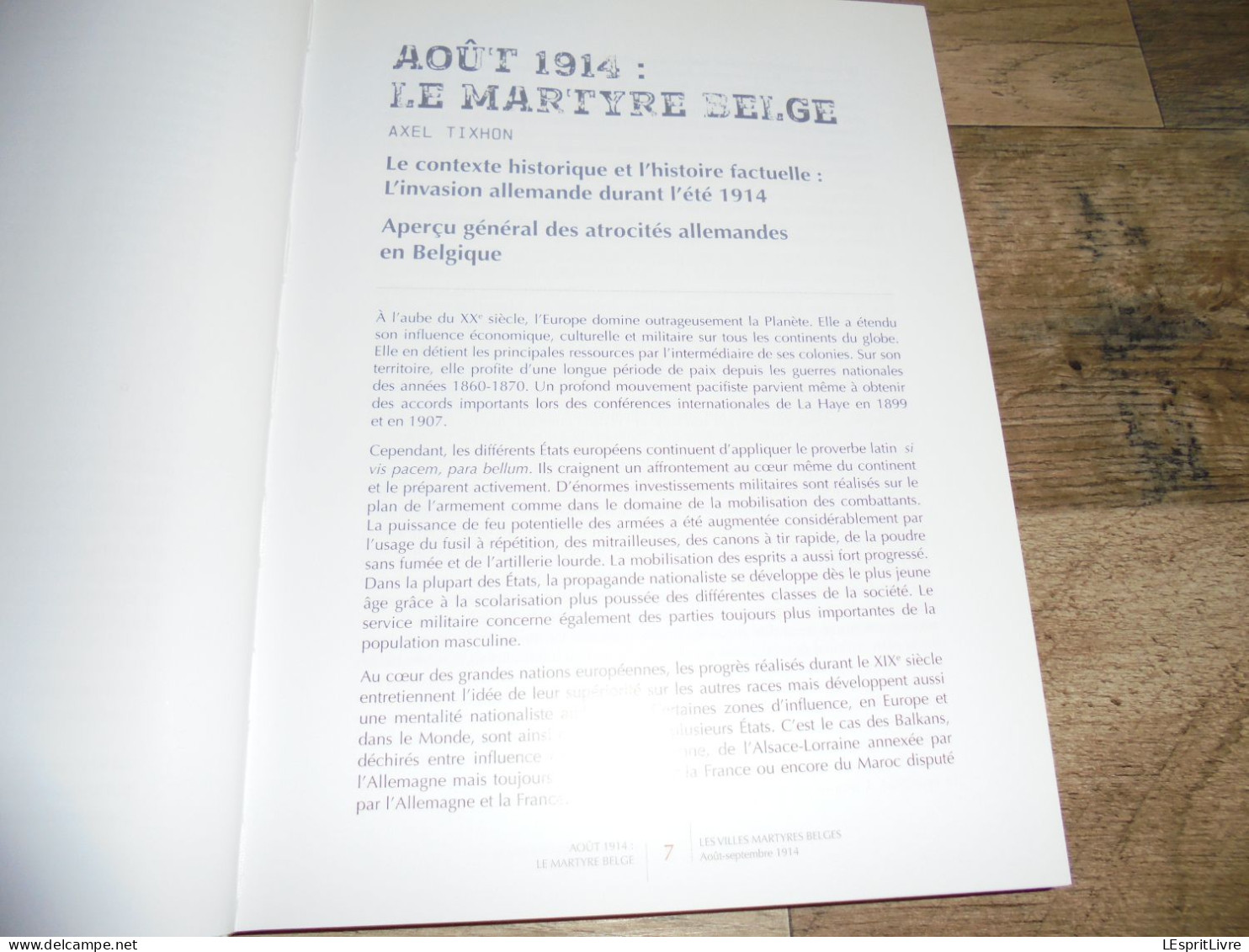 VILLES MARTYRES Belgique Août 1914 Guerre 14 18 Visé Tamines Termonde Dendermonde Dinant Andenne Seilles Aarschot Leuven - War 1914-18