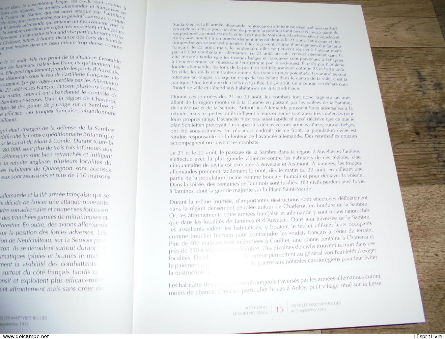 VILLES MARTYRES Belgique Août 1914 Guerre 14 18 Visé Tamines Termonde Dendermonde Dinant Andenne Seilles Aarschot Leuven - Oorlog 1914-18