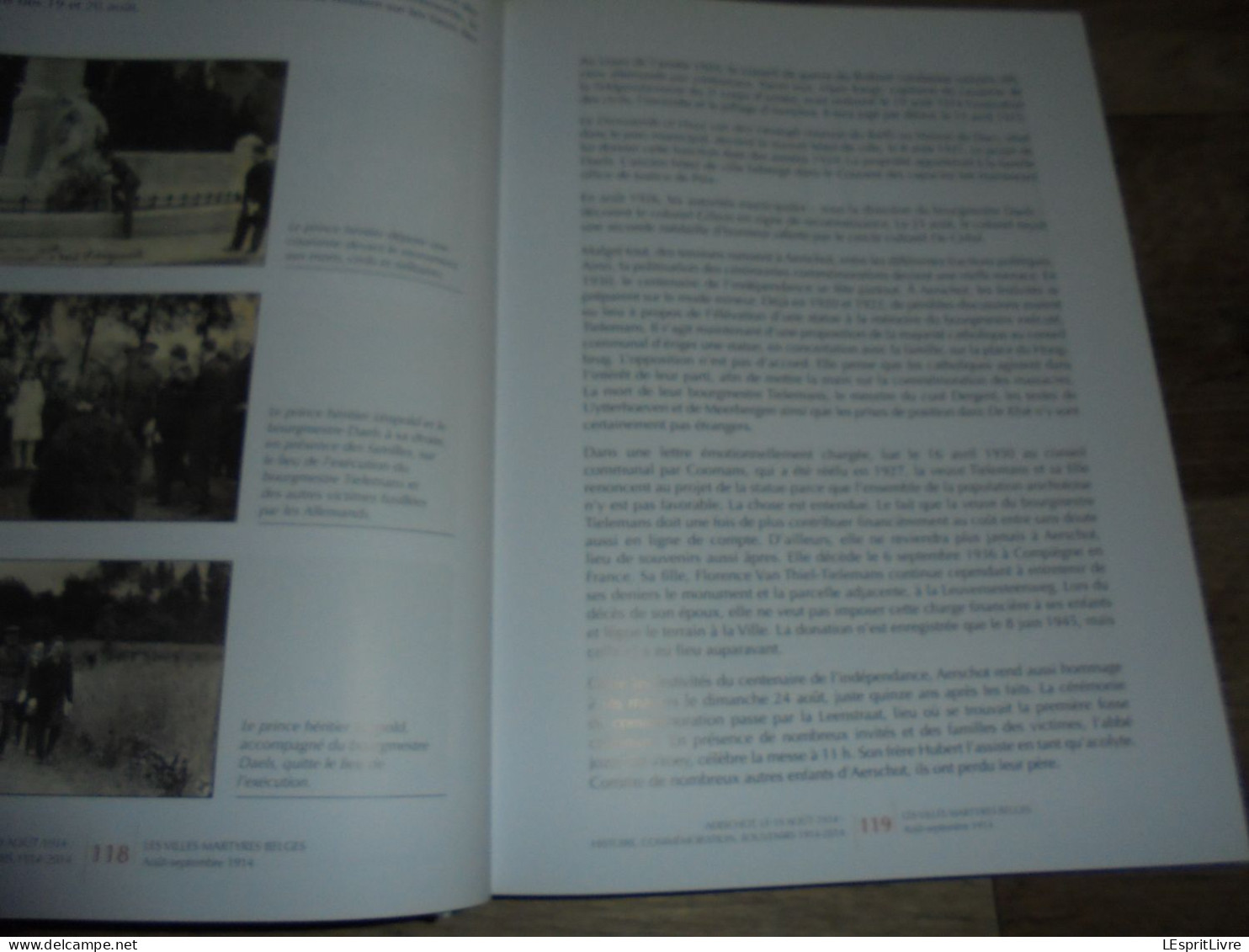 VILLES MARTYRES Belgique Août 1914 Guerre 14 18 Visé Tamines Termonde Dendermonde Dinant Andenne Seilles Aarschot Leuven