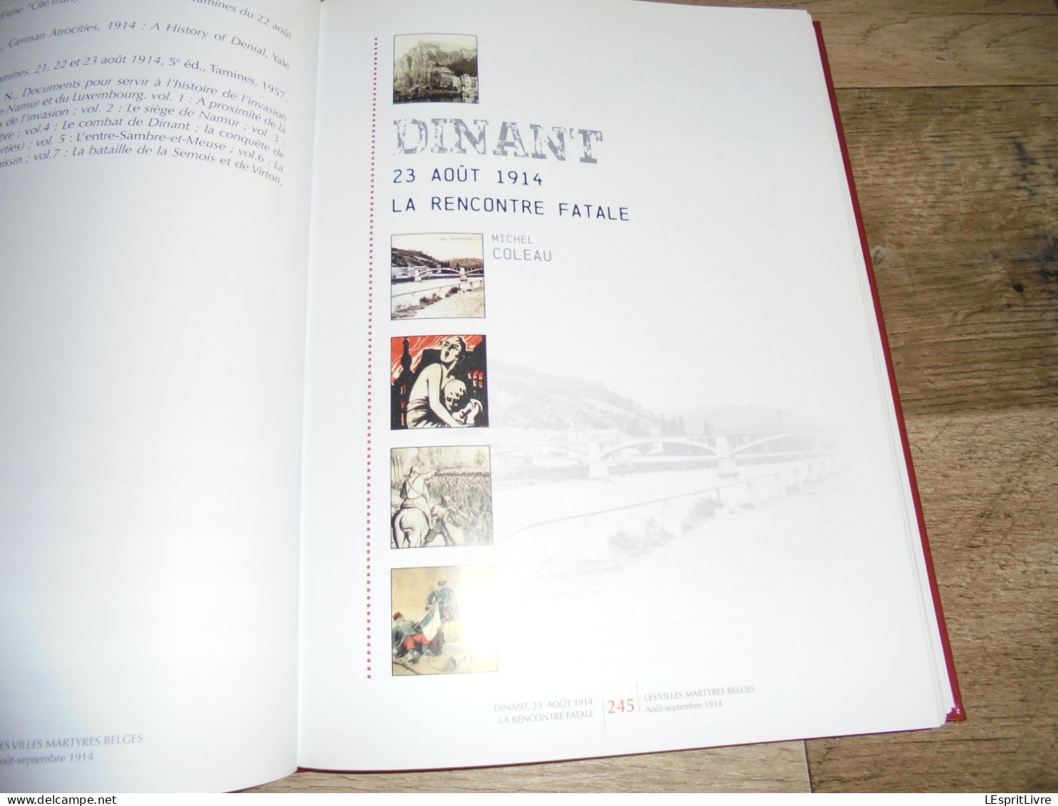 VILLES MARTYRES Belgique Août 1914 Guerre 14 18 Visé Tamines Termonde Dendermonde Dinant Andenne Seilles Aarschot Leuven