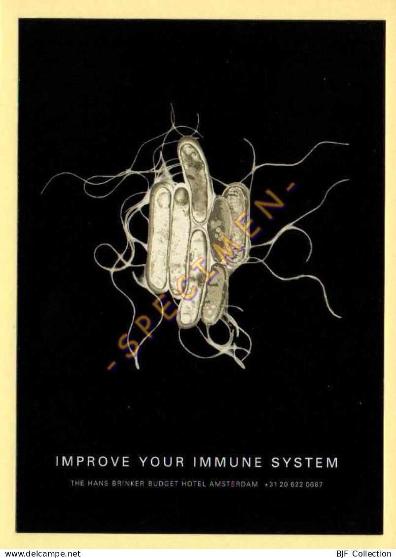 Publicité Médicale : IMPROVE YOUR IMMUNE SYSTEM - Santé