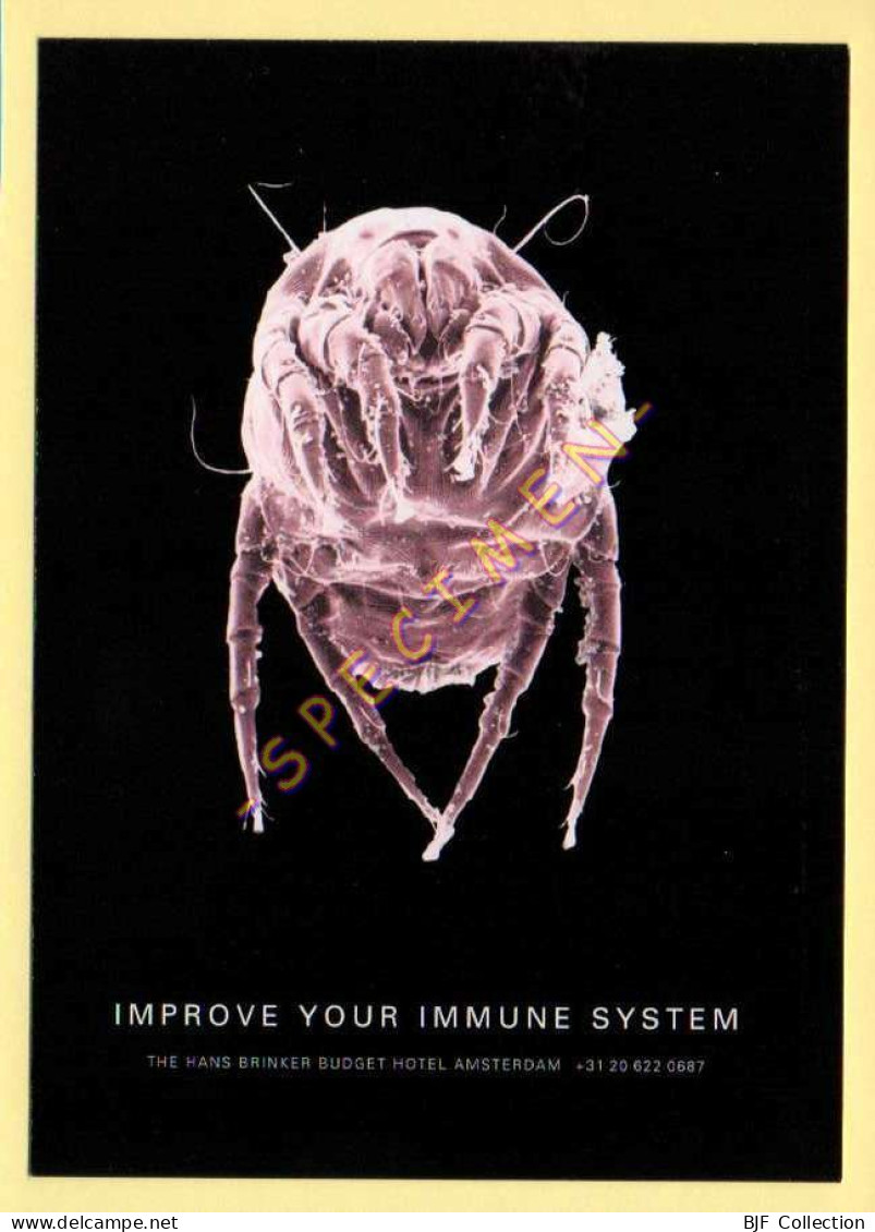 Publicité Médicale : IMPROVE YOUR IMMUNE SYSTEM - Salute