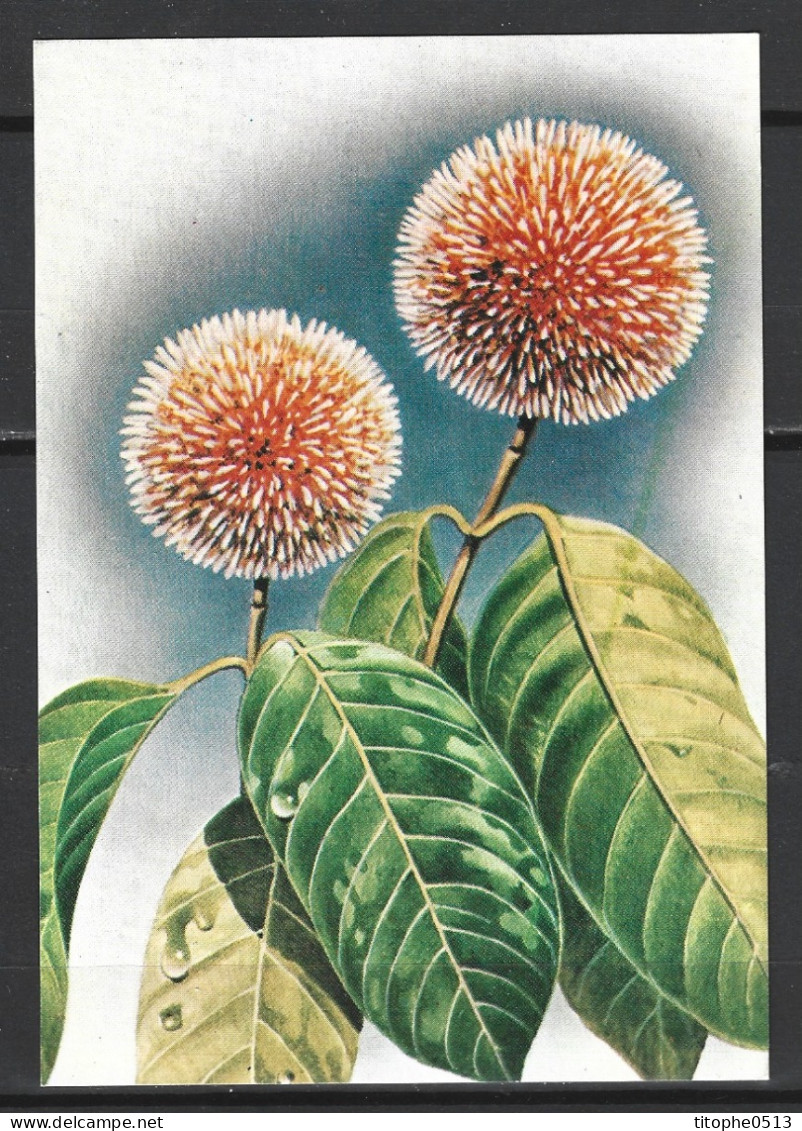 INDE. N°519-21 De 1977 Sur 3 Cartes Maximum. Fleurs. - Andere & Zonder Classificatie