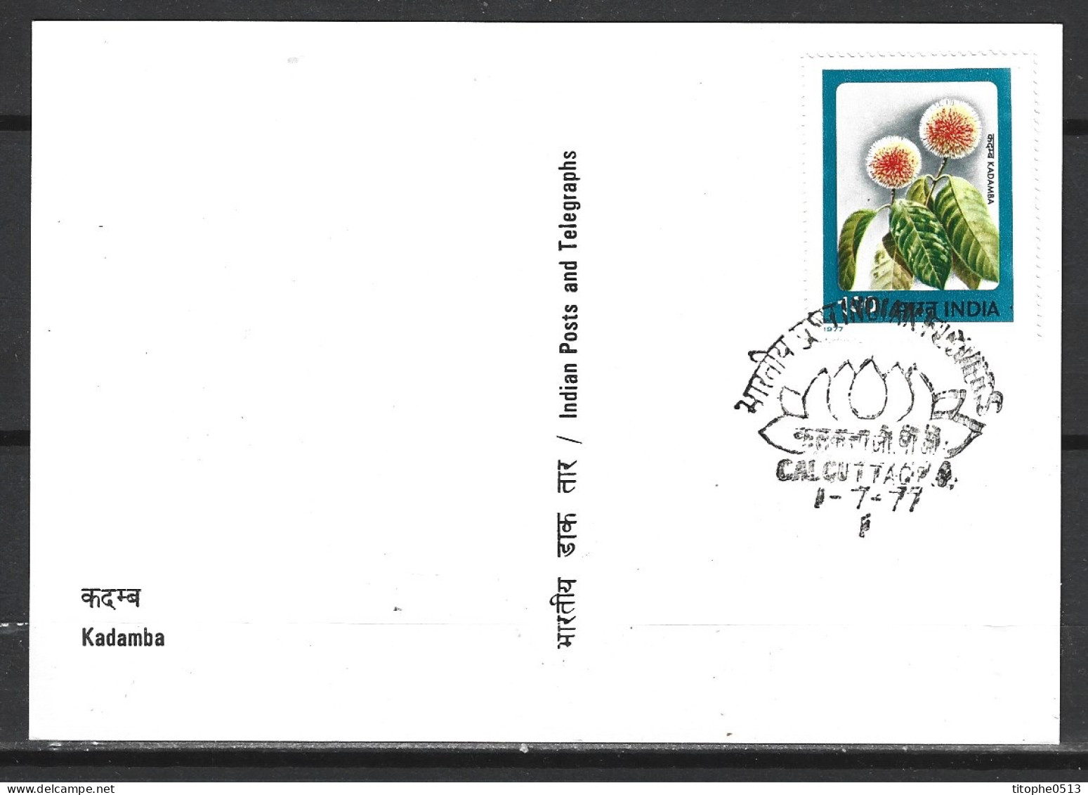 INDE. N°519-21 De 1977 Sur 3 Cartes Maximum. Fleurs. - Andere & Zonder Classificatie