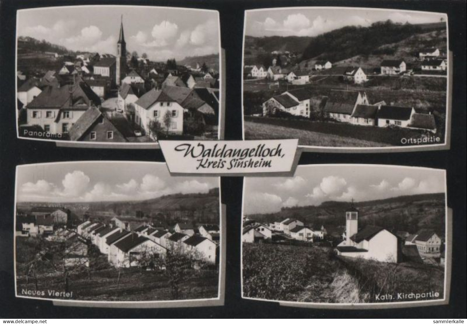 112912 - Sinsheim-Waldangelloch - 4 Bilder - Sinsheim