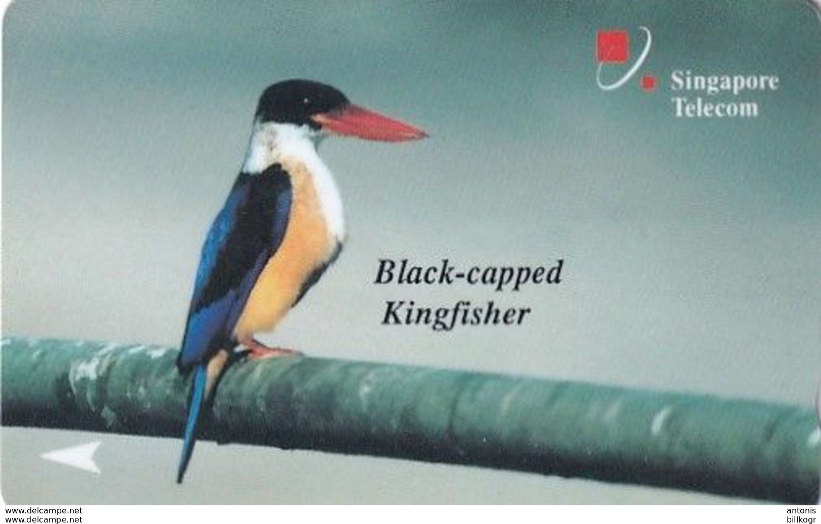 SINGAPORE(GPT) - Black Capped Kingfisher, CN : 25SIGA/B, Tirage 60000, Used - Singapour