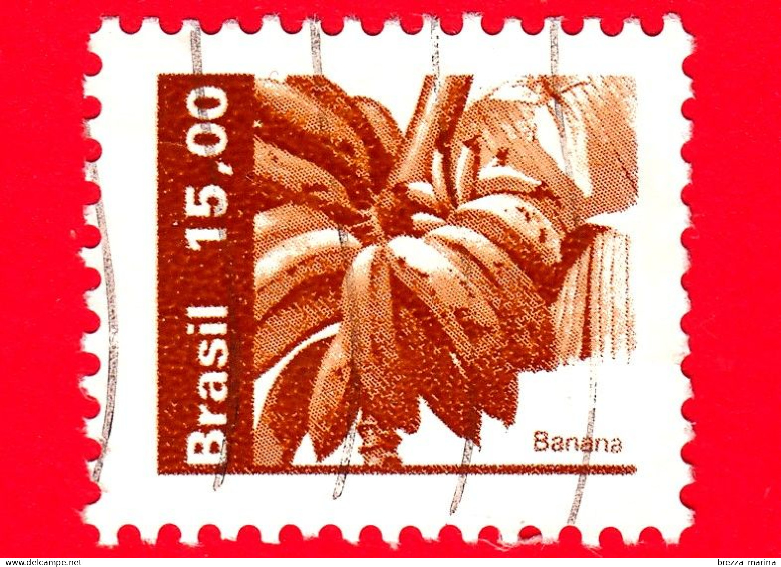 BRASILE - Usato - 1983 - Risorse Economiche Nazionali - Banana - 15.00 - Used Stamps