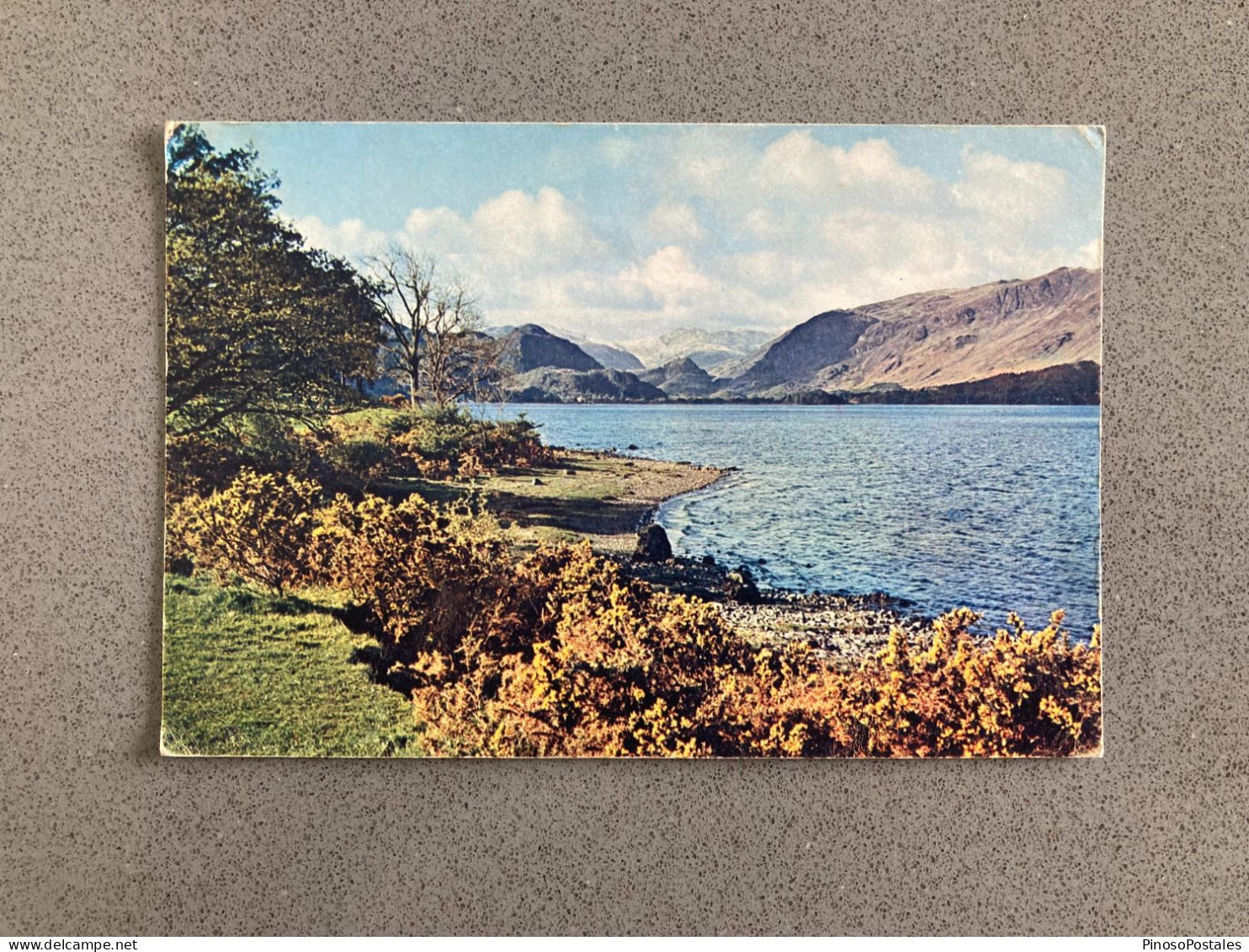Derwent Water From Broomhill Point Carte Postale Postcard - Altri & Non Classificati