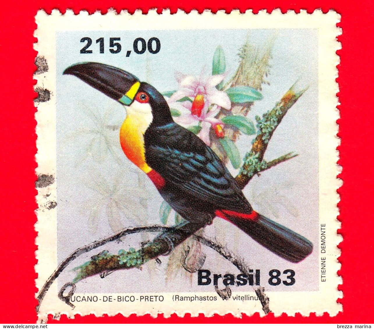BRASILE - Usato - 1983 - Conservazione Della Fauna Selvatica - Uccelli - Tucano Dal Becco Di Canale - 215 - Oblitérés