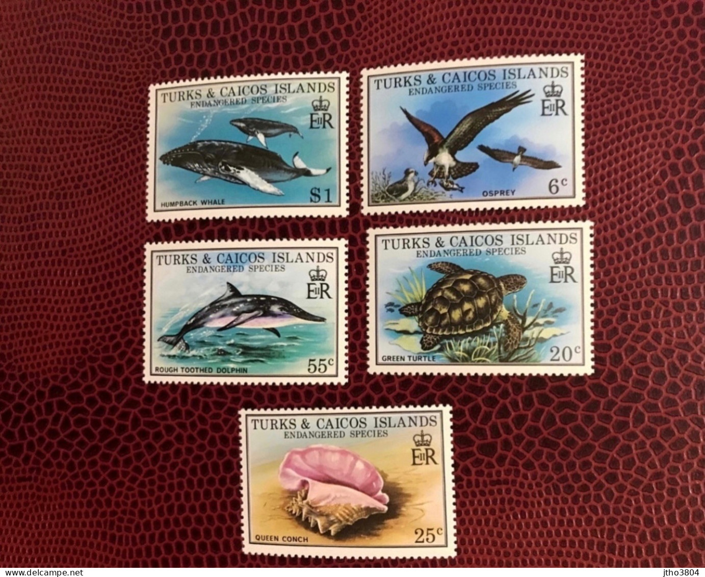 TURK & CAICOS 1979 5v Neuf MNH ** Mi 425 / 429 Birds Dolphins Marine Mammals Whales - Schildkröten