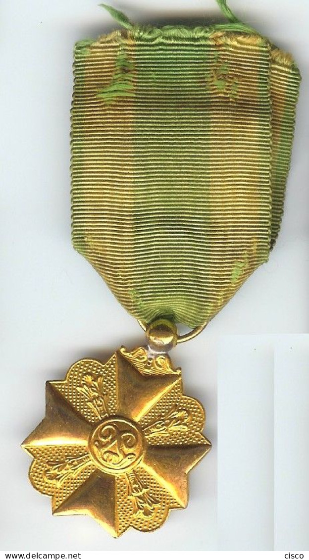 BELGIQUE Décoration Civique Pour Pompier, Médaille D'or - Belgium