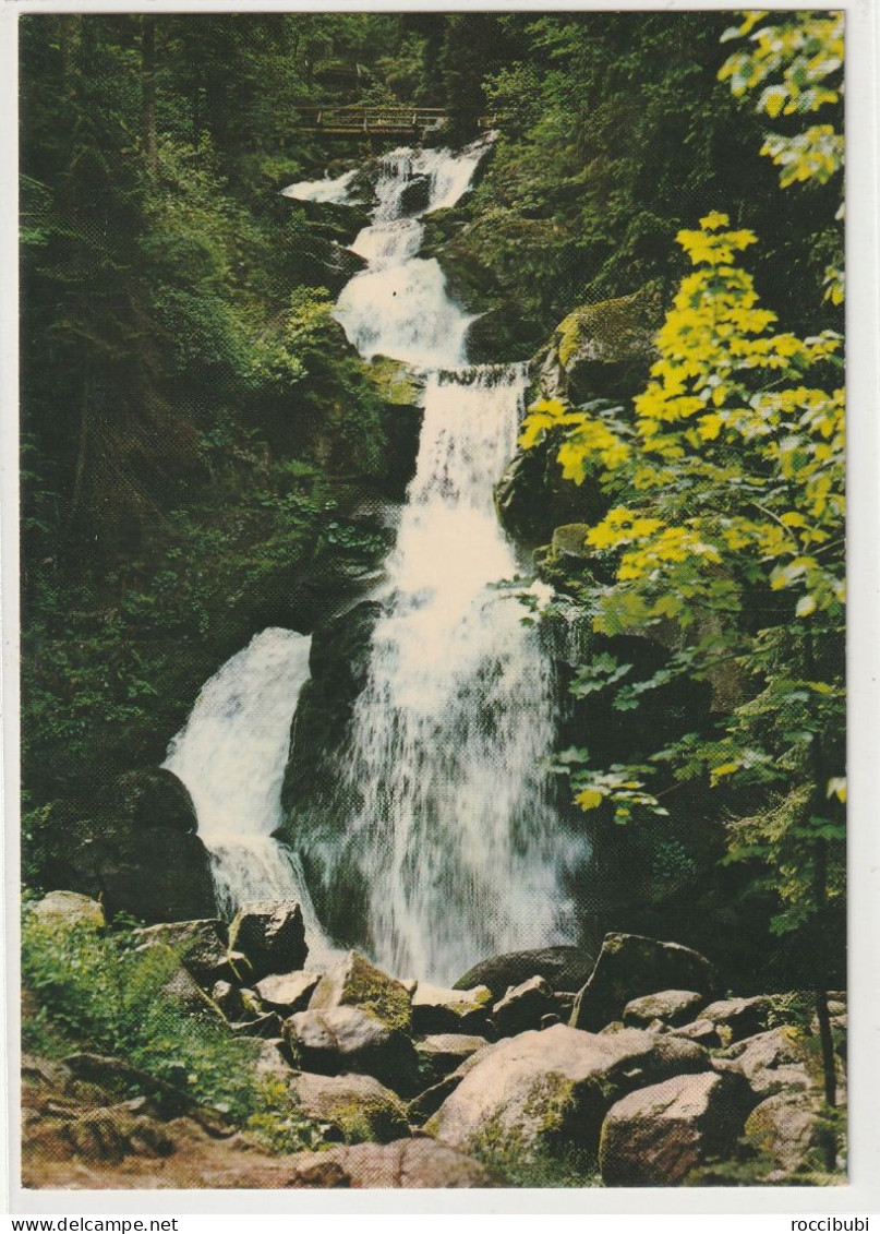 Triberg, Wasserfall - Triberg