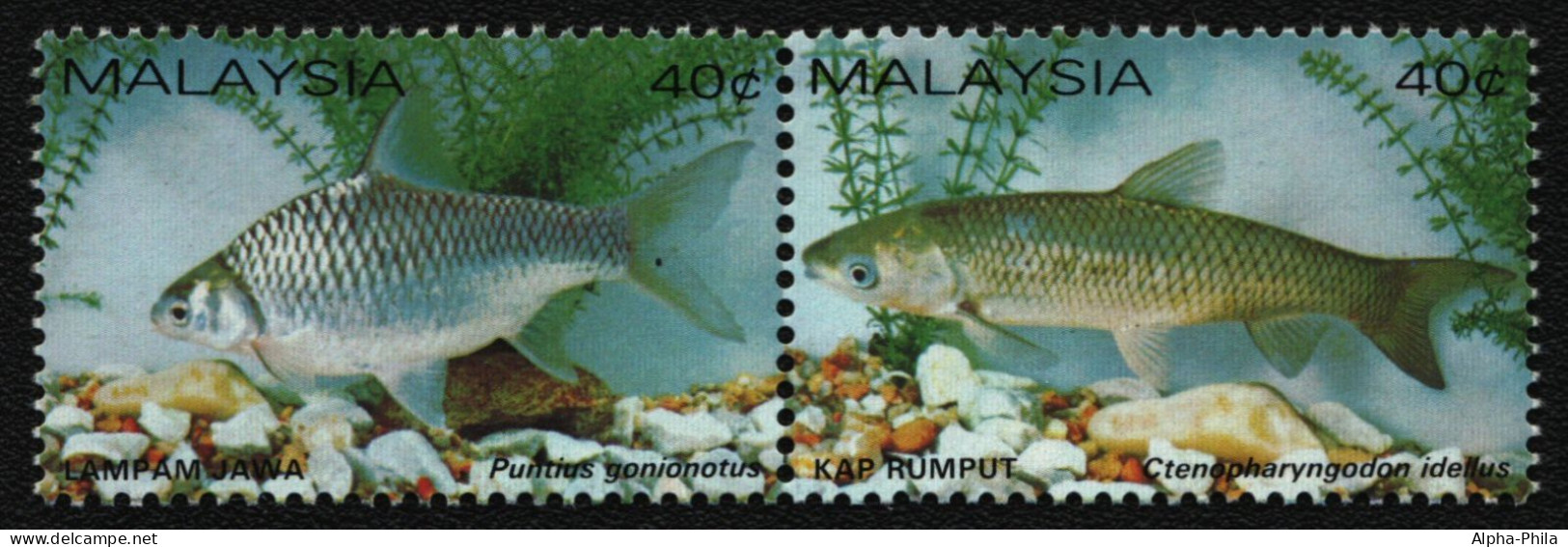 Malaysia 1983 - Mi-Nr. 260-261 C ** - MNH - Fische / Fish - Malaysia (1964-...)