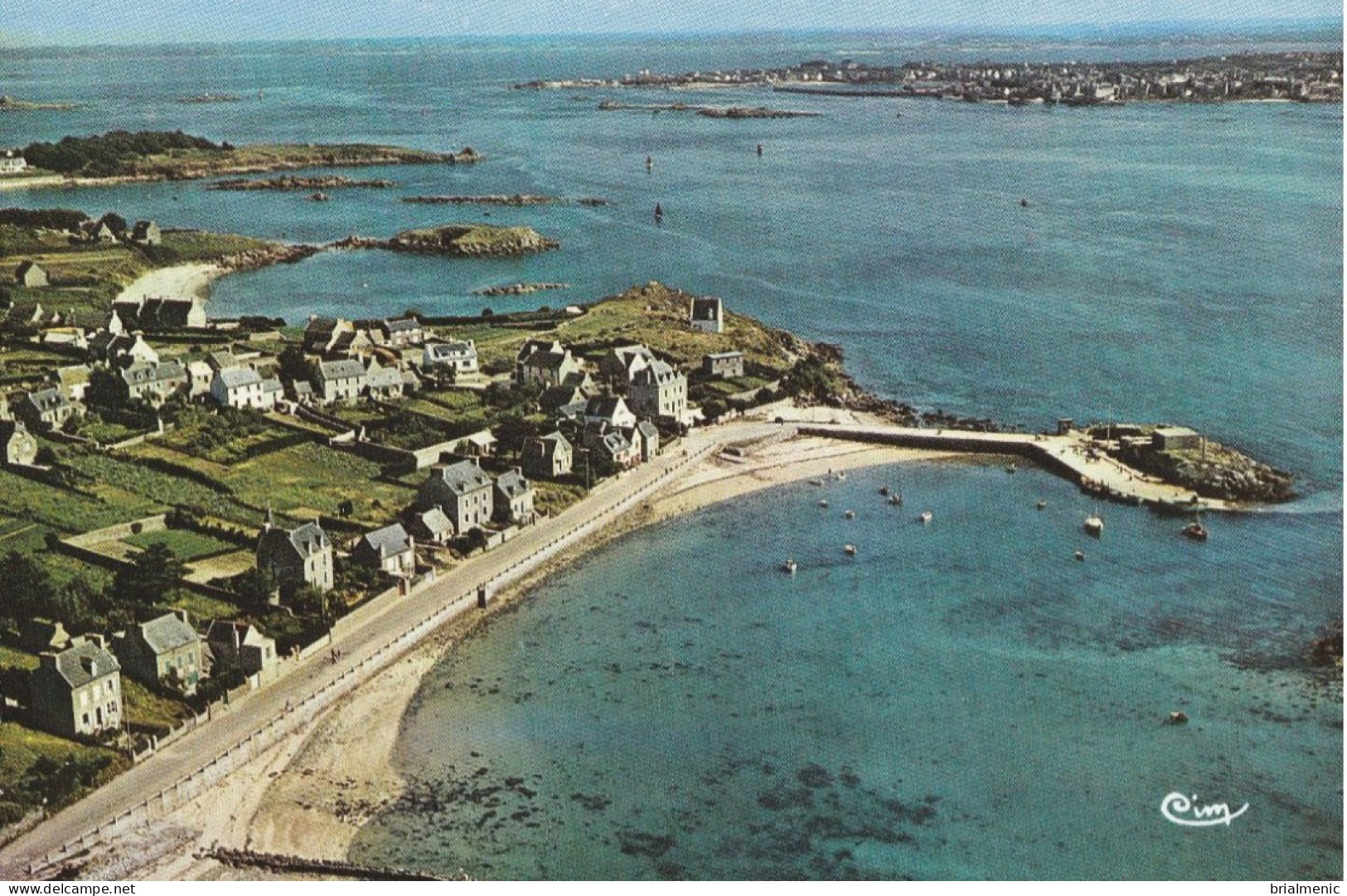 ILE De BATZ  Le Port Et Au Loin Roscoff - Ile-de-Batz