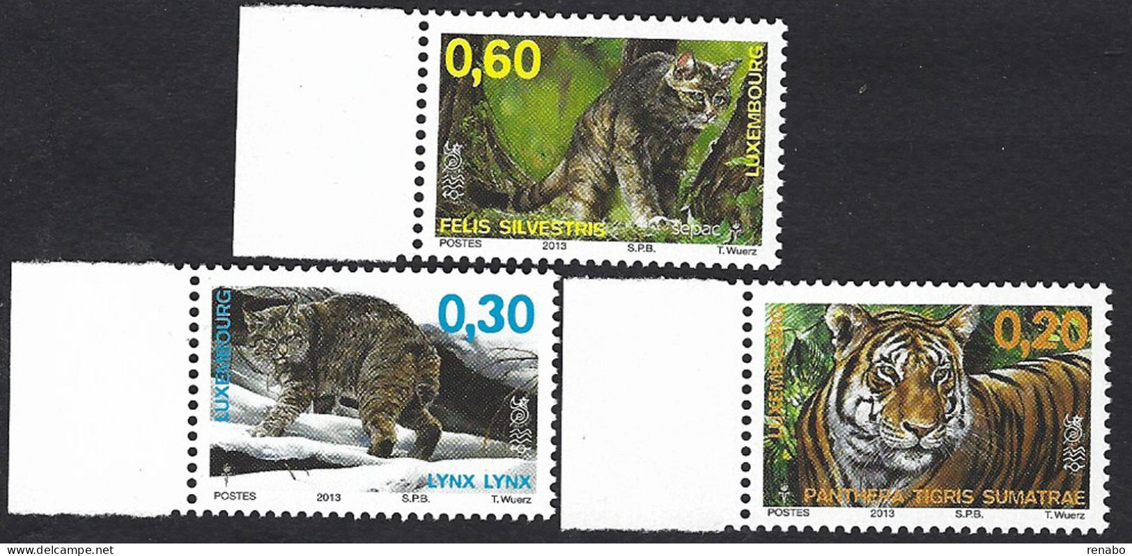 Luxembourg, Lussemburgo 2013; Linx Linx (feline) + Panthera Tigris (feline) + Felis Silvestris (cat) - Felinos