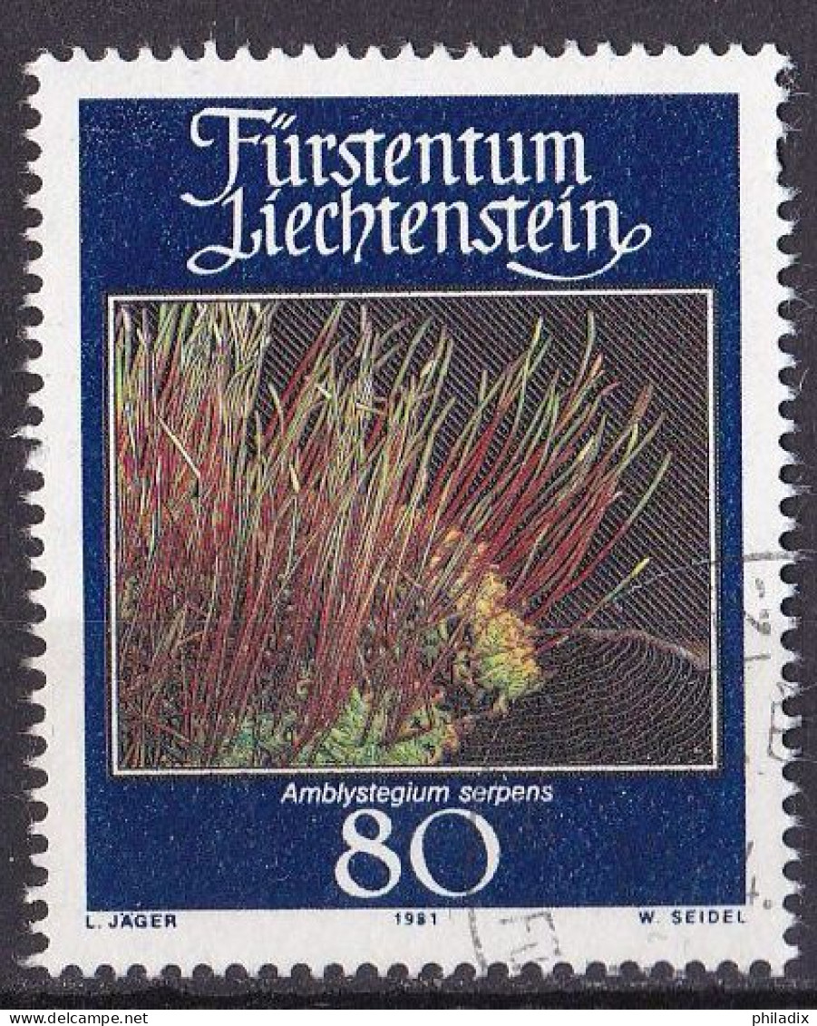 # Liechtenstein Marke Von 1981 O/used (A5-4) - Used Stamps