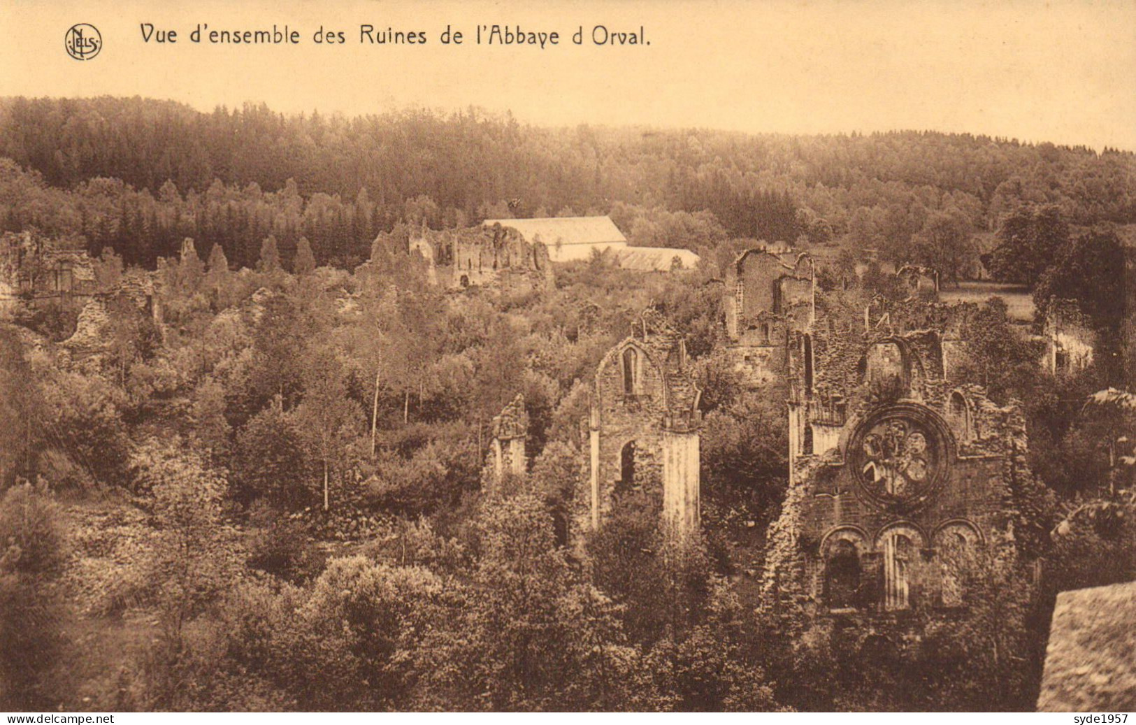 Vue D'ensemble Des Ruines De L'Abbaye D'Orval - édit. L.Duparque, Bazar à Florenville - Florenville