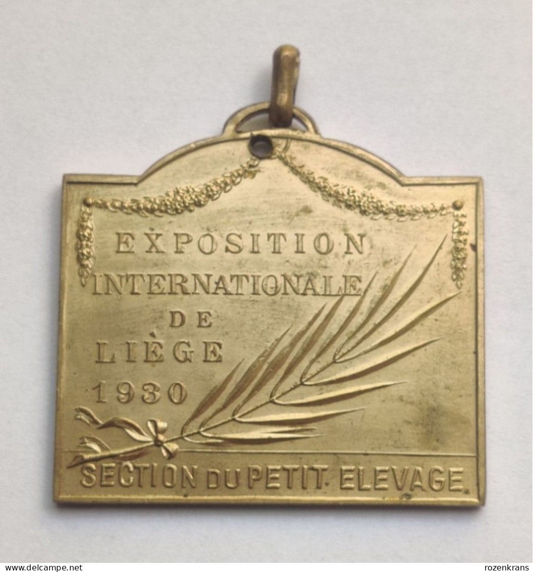 Oude Medaille Ancienne Old Medal Exposition Internationale De Liège, Section Du Petit élevage 1930 Wereldtentoonstelling - Andere & Zonder Classificatie