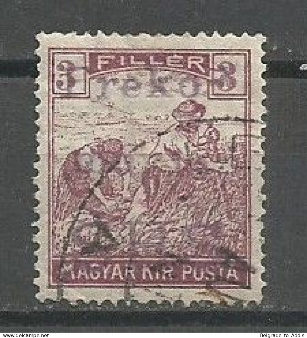 Slovenia Hungary Yugoslavia SHS Kingdom Local Issue Preko Murje Dobrovnik Used 1919 - Used Stamps