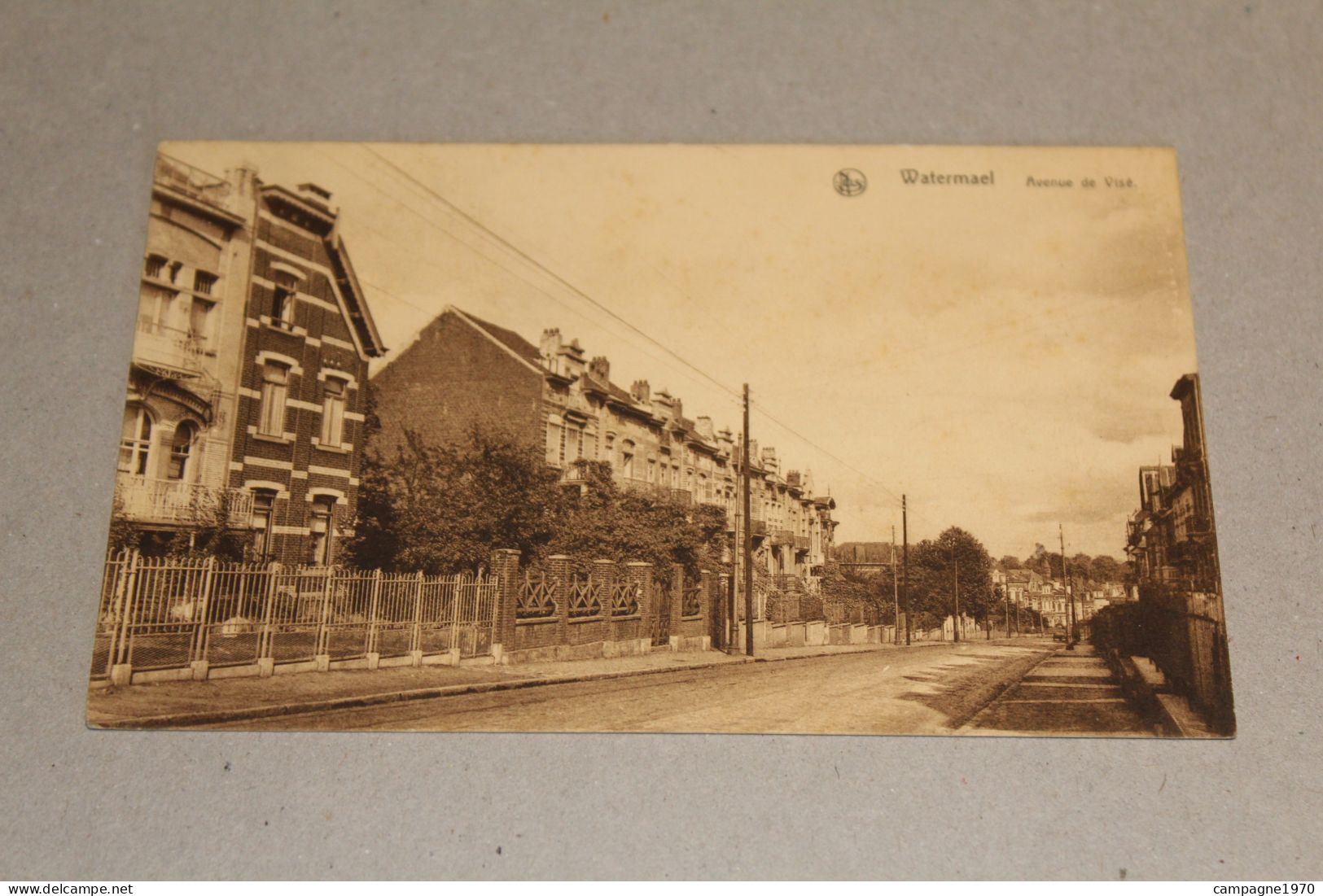 CPA - WATERMAEL ( BOITSFORT BRUXELLES BRUSSEL ) - AVENUE DE VISE - Watermaal-Bosvoorde - Watermael-Boitsfort