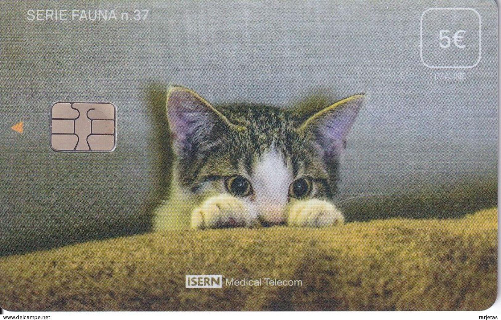 ISN-365 TARJETA DE ESPAÑA DE ISERN DE LA SERIE FAUNA Nº37 (CAT-GATO) - Katzen