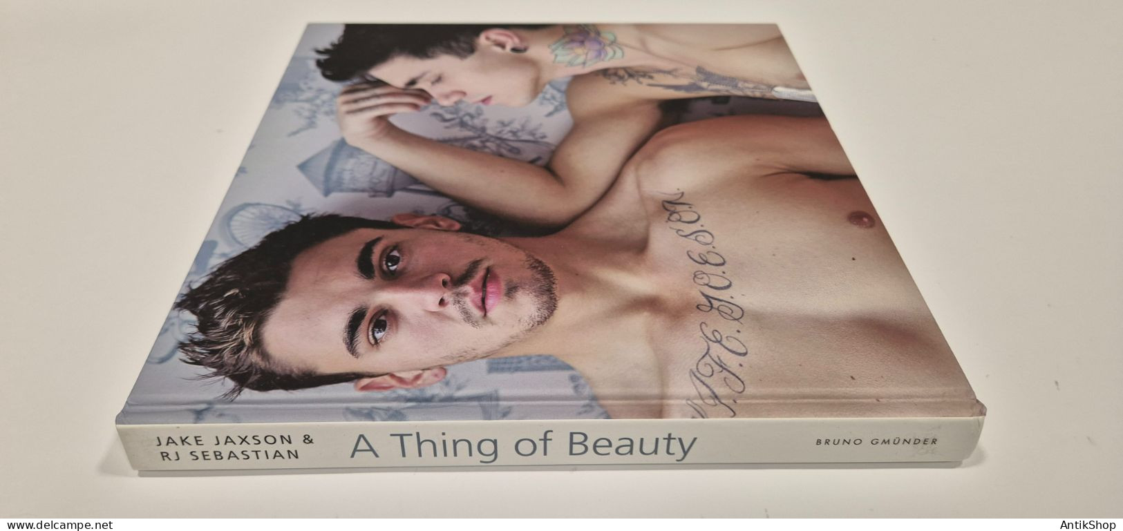 Jake Jackson & RJ Sebastian - A Thing Of Beauty - 2014 New Gay Sex Erotik - Bellas Artes