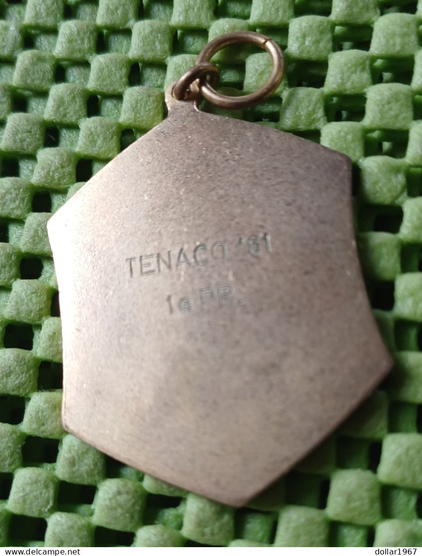 Medaile :  TENACO Rotterdam - Schiedam 1961 - 1pr.  -  Original Foto  !!  Medallion  Dutch - Andere & Zonder Classificatie