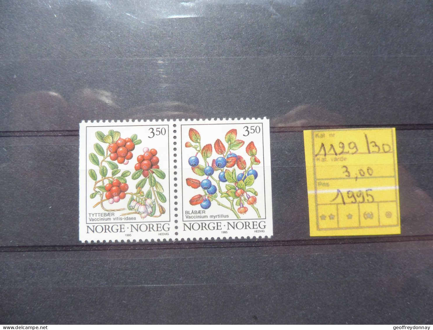 Norge Norvege Norway 1129/1130 Mnh Neuf ** 1995 Fleurs Bloemen Flowers - Unused Stamps