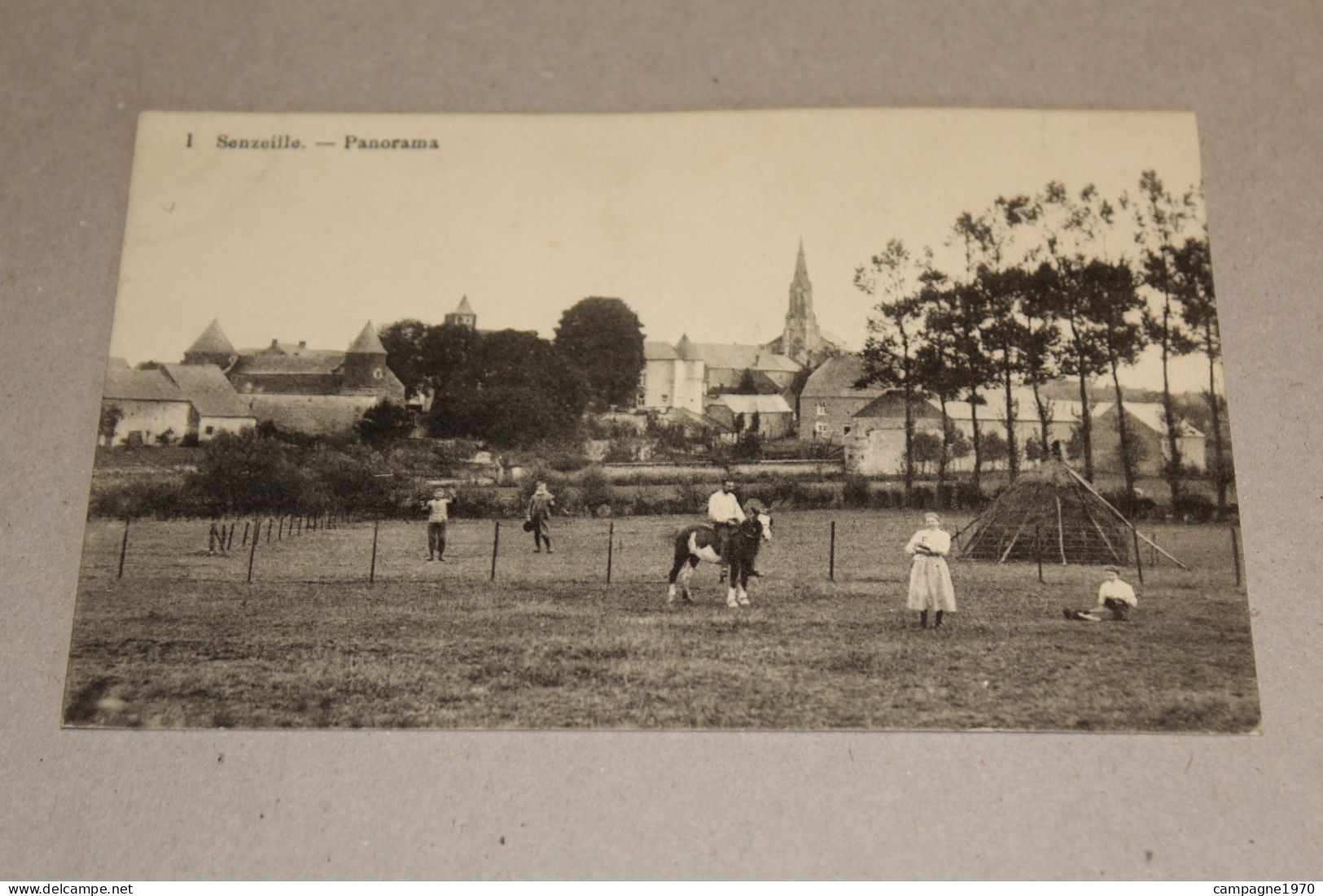 TOP CPA !! SENZEILLES SENZEILLE ( CERFONTAINE PHILIPPEVILLE ) - PANORAMA N°1 ( ANIMATION CHEVAL MEULE DE FOIN ) - Cerfontaine