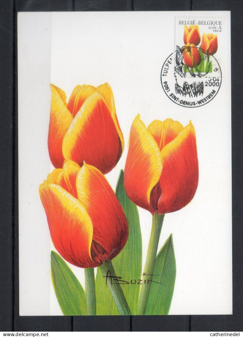 Année 1999 : Carte Maximum 2855 - Tulipe - Buzin - Obli. Sint-Denijs-Westrem - 1991-2000