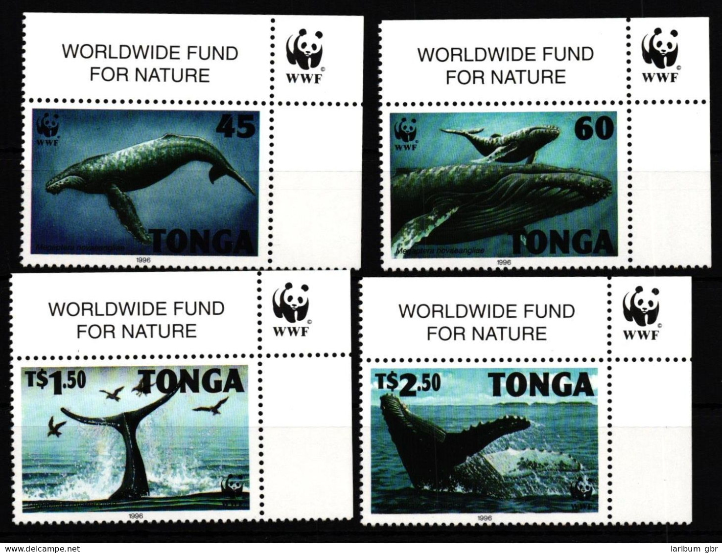 Tonga 1400-1403 Postfrisch Wale #JV467 - Marine Life