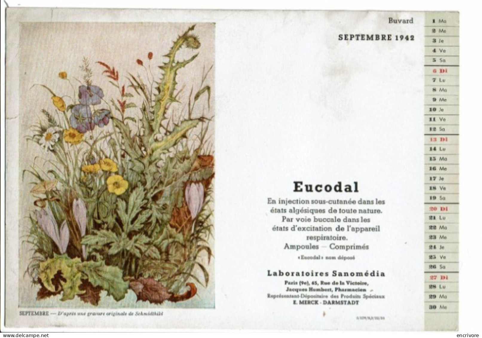 Buvard Calendrier SANOMEDIA Eucodal Septembre 1942 Gravure D'après Schmidthild Fleurs Des Champs Chardon - Produits Pharmaceutiques