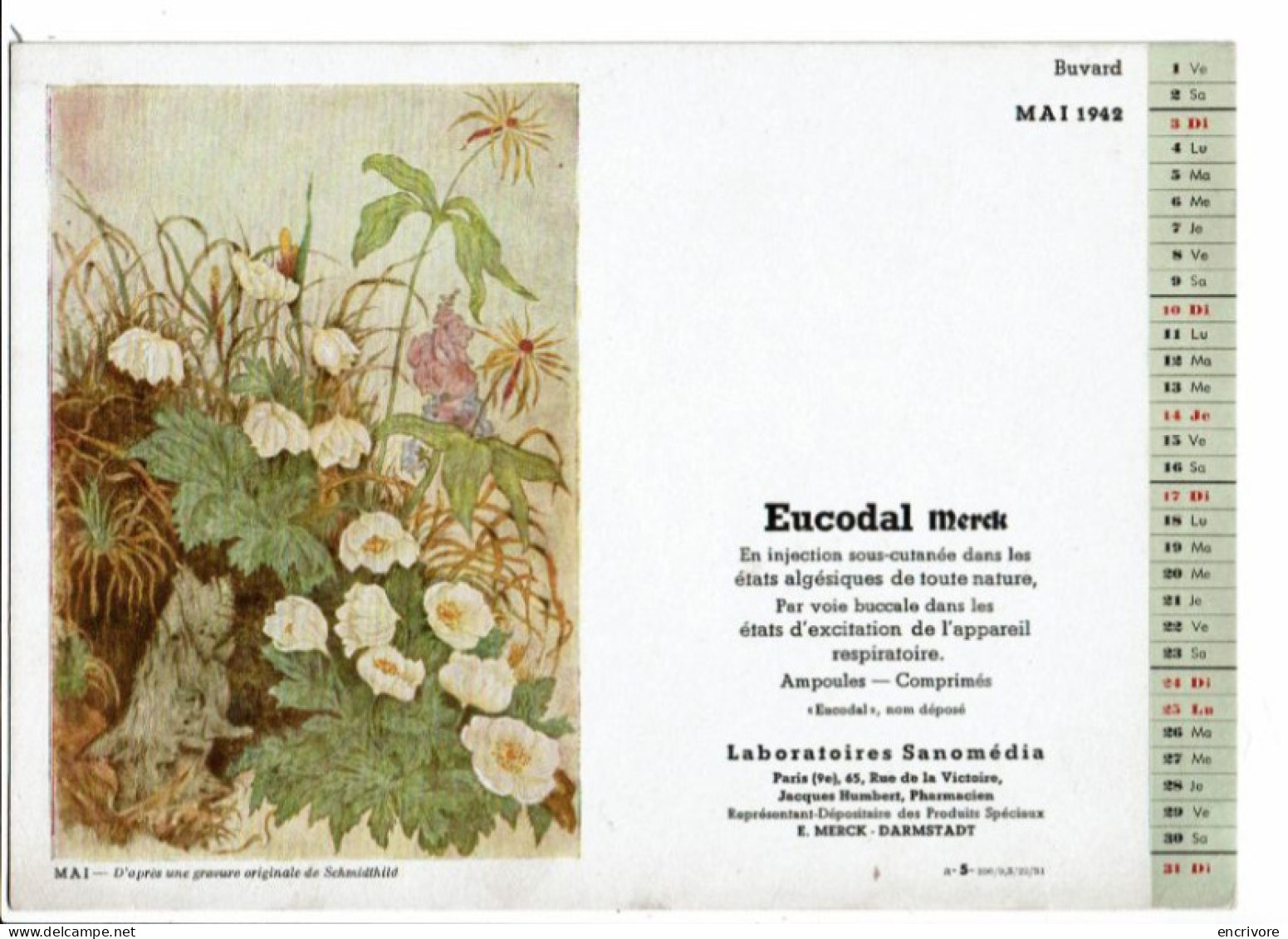 Buvard Calendrier SANOMEDIA Eucodal Mai 1942 Gravure D'après Schmidthild Fleurs Des Bois Renoncules - Drogisterij En Apotheek