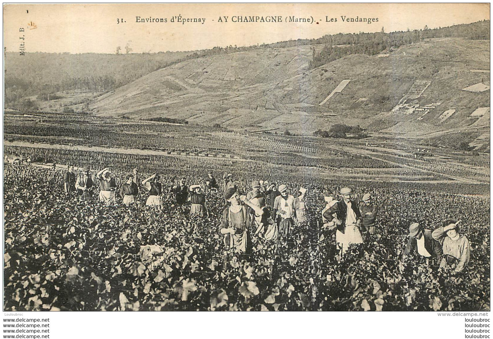 AY LES VENDANGES - Ay En Champagne