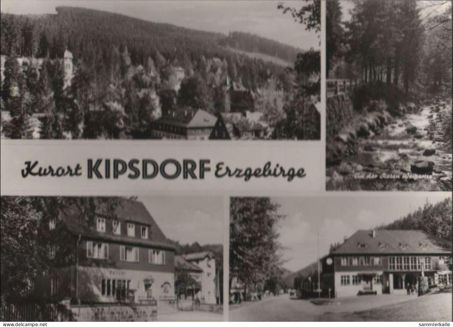 53280 - Altenberg-Kipsdorf - Mit 4 Bildern - 1969 - Kipsdorf