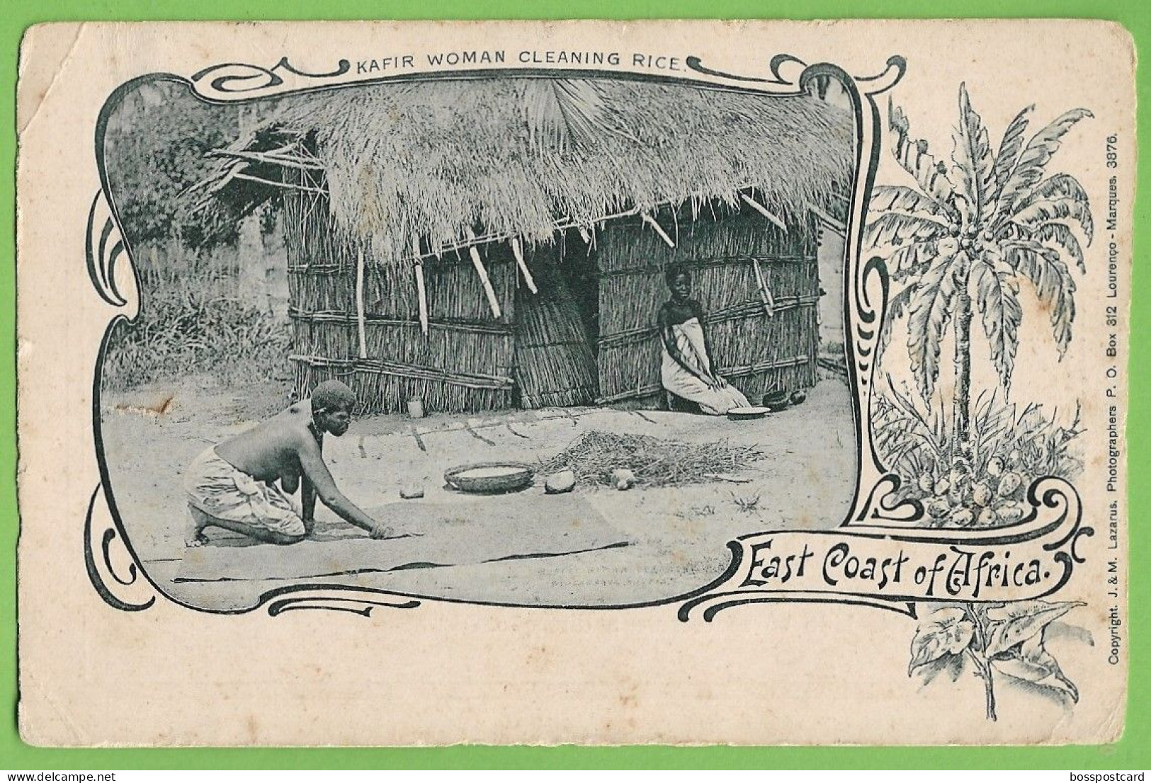 Moçambique - Kafir Woman Cleaning Rice - East Coast Africa - Nu - Nude - Ethnic - Ethnique - Portugal - Mozambique