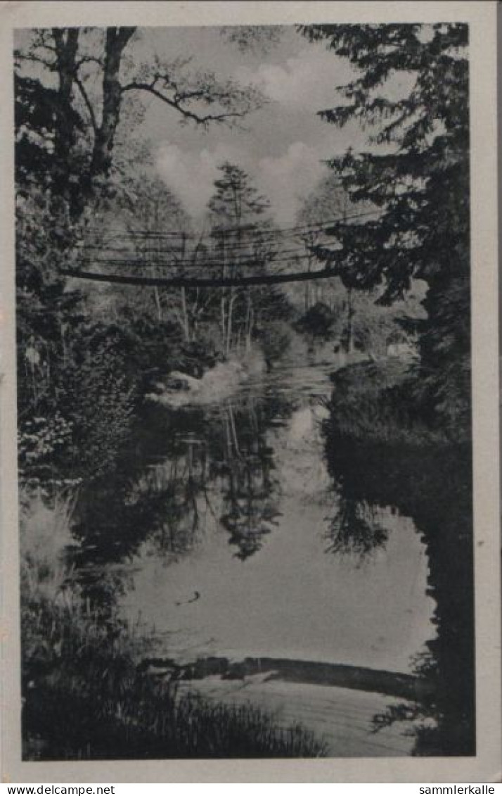 58556 - Wörlitz - Park, Kettenbrücke - 1957 - Wörlitz