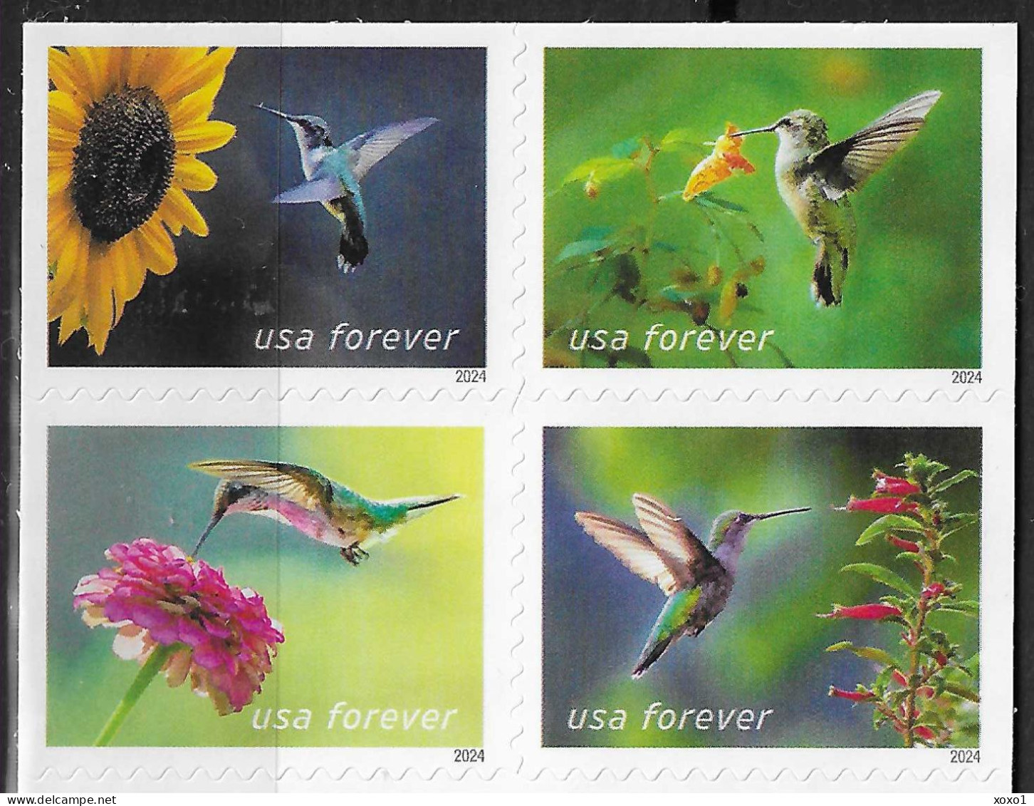 USA 2024 MiNr. XXXX Etats-Unis Birds, Ruby-throated Hummingbird (Archilochus Colubris), Flowers  4v MNH **  5.60 € - Segler & Kolibris