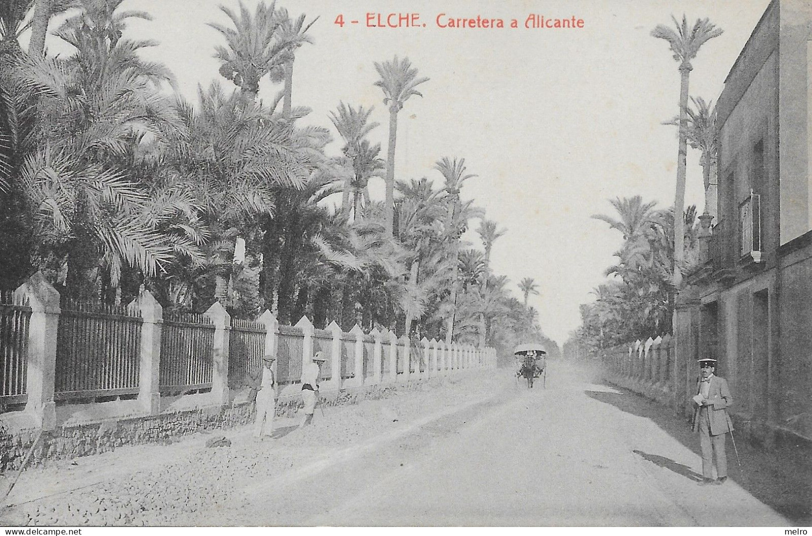 ESPAÑA - Tarjeta Postal - ELCHE - Carretera A Alicante - Autres & Non Classés