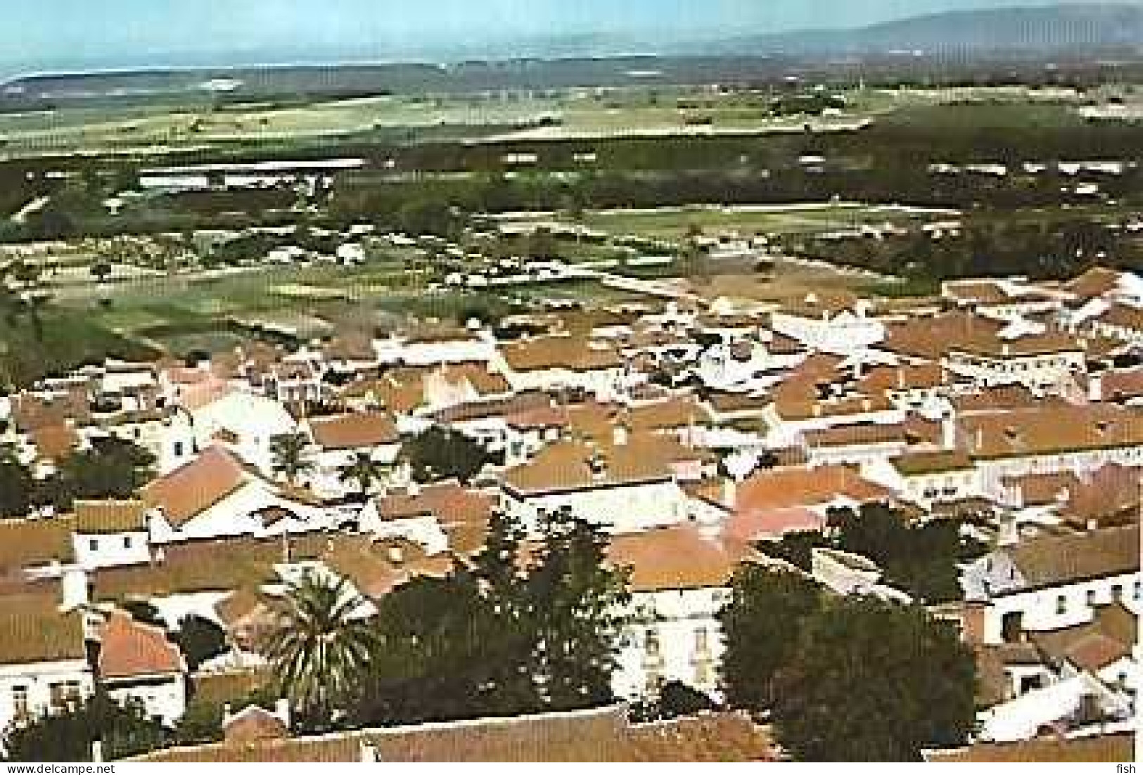 Portugal ** &  Postal, Chamusca, Vista Panorâmica (688868) - Santarem