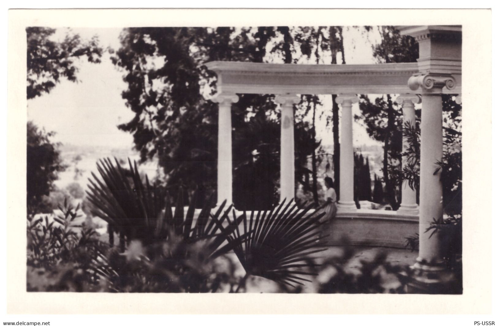 USSR 1955 ABKHAZIA SUKHUMI COLONNADE PALM GEORGIA PHOTO POSTCARD UNUSED SOVIET UNION - Géorgie