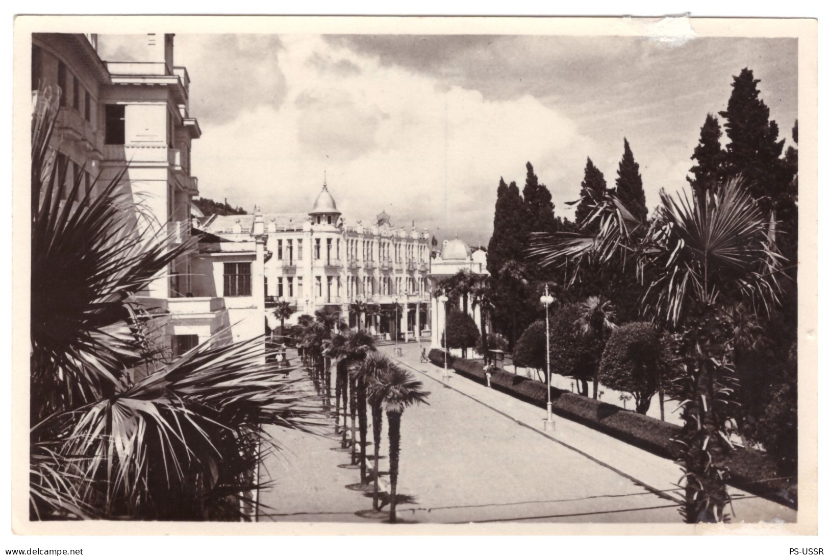 USSR 1955 ABKHAZIA SUKHUMI RUSTAVELI ALLEY GEORGIA PHOTO POSTCARD UNUSED SOVIET UNION - Géorgie